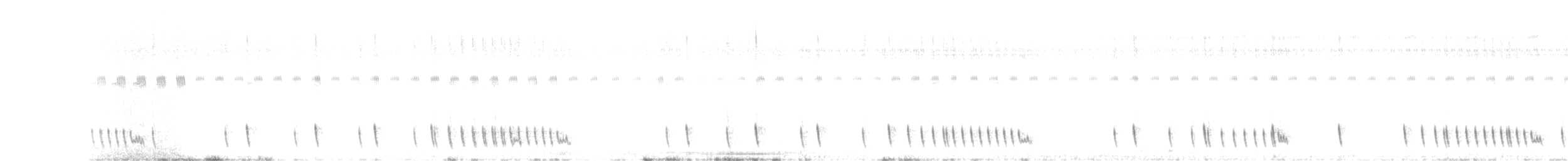 Indian Nightjar - ML64521501
