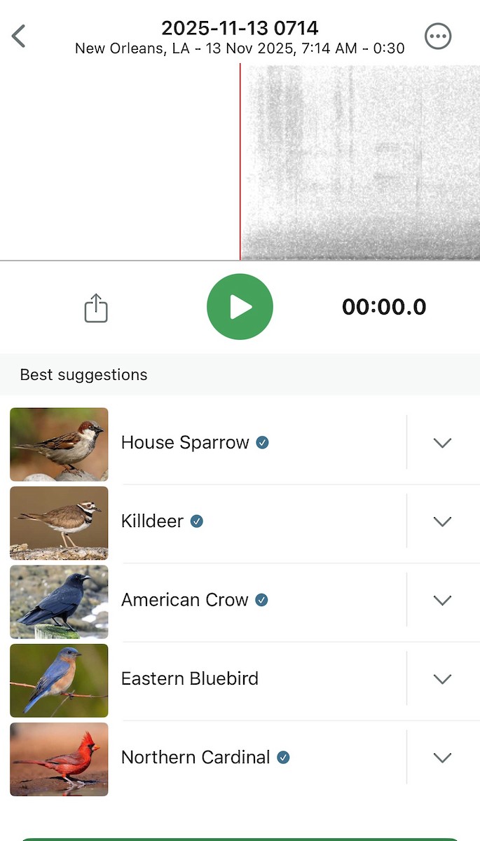 Красный кардинал - ML645215217