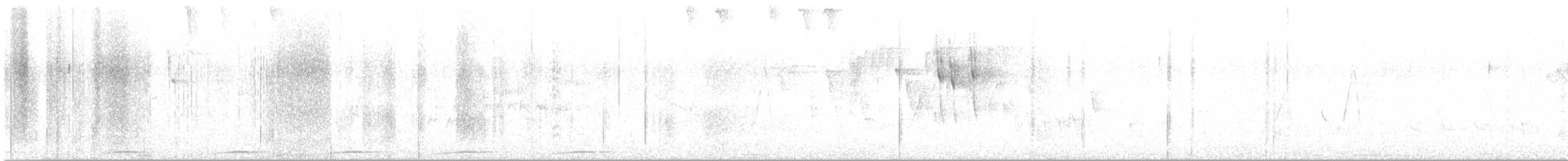 Black-bodied Woodpecker - ML645215305