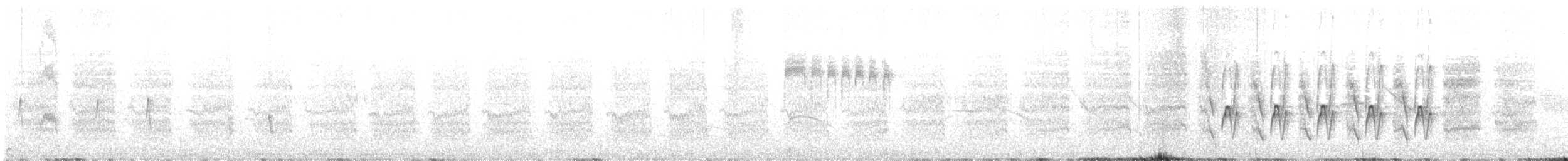 Des Murs's Wiretail - ML645215746