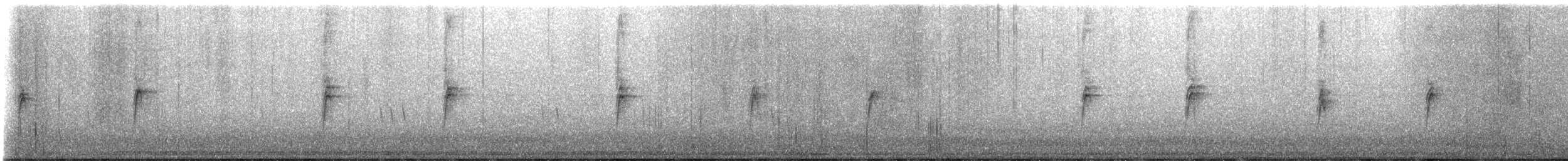 European Pied Flycatcher - ML645215756