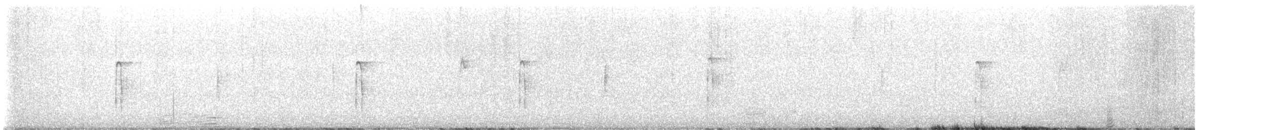 strakapoud americký - ML645216749