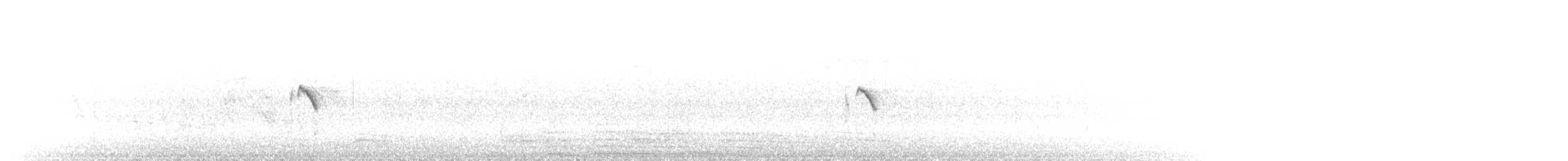 Iberian Chiffchaff - ML645216751