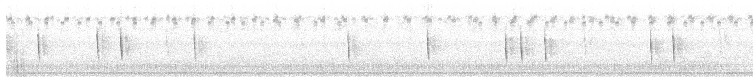 Sedge Wren - ML645216759