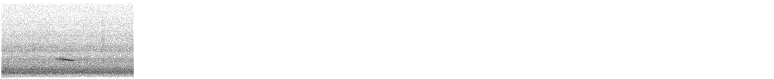 Hermit Thrush - ML645217744