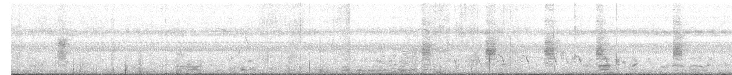 Bay-backed Shrike - ML645219005