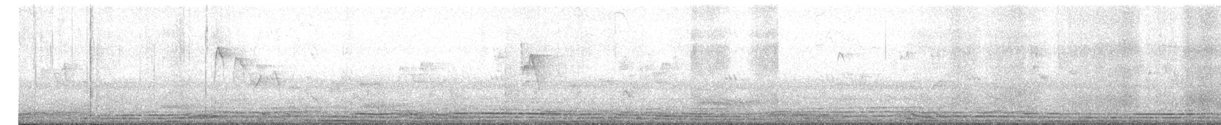 Common Tailorbird - ML645219060