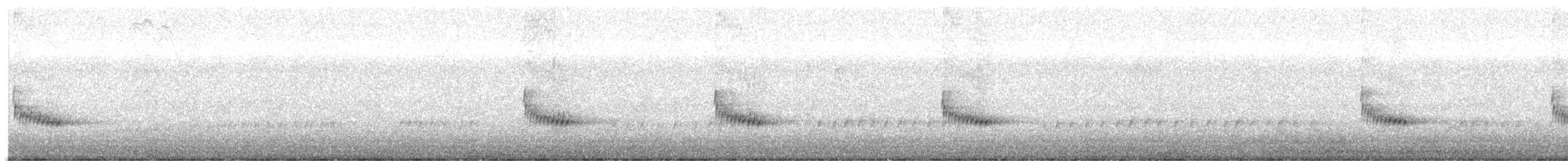 Carolina Wren - ML645219512