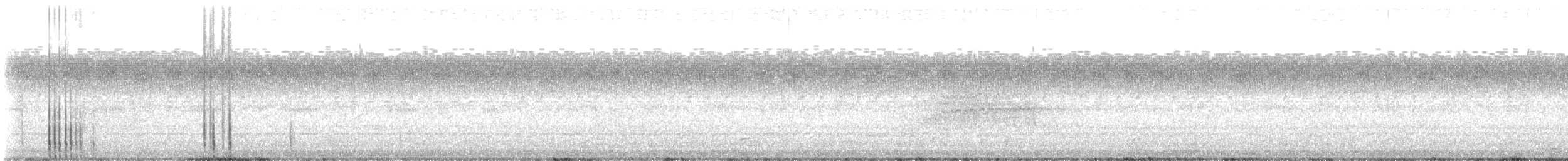 American Barn Owl - ML645219658