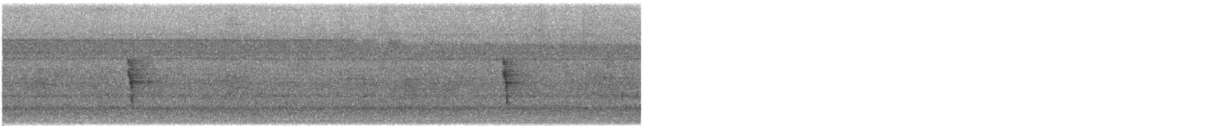 Yellow-rumped Warbler - ML645219673