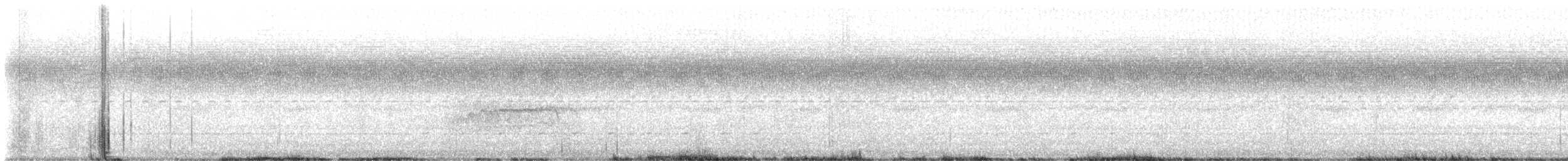 American Barn Owl - ML645219711