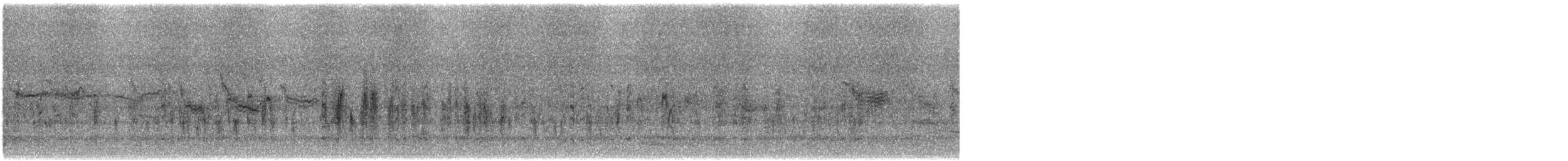 Red-winged Blackbird - ML645219752