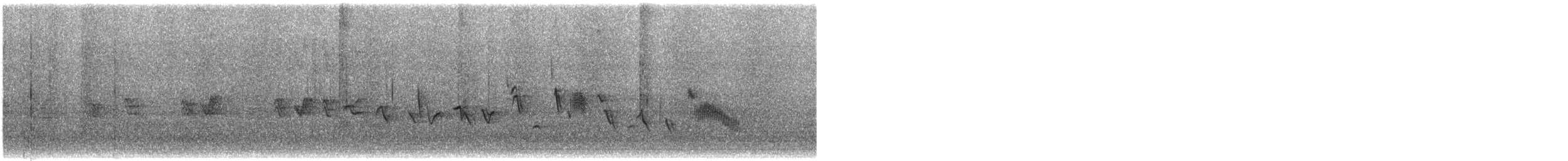 House Finch - ML645219802