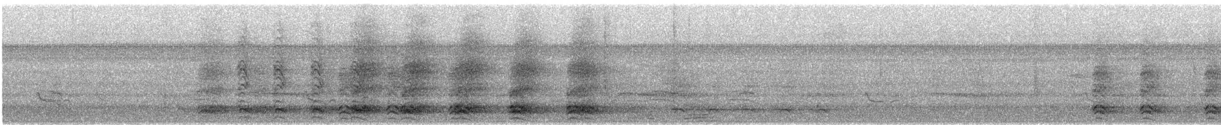 American Crow - ML645219964