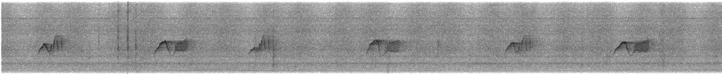 ツキヒメハエトリ - ML645220008