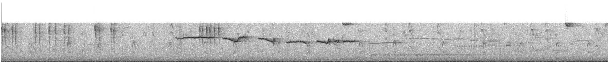 White-throated Sparrow - ML645220495