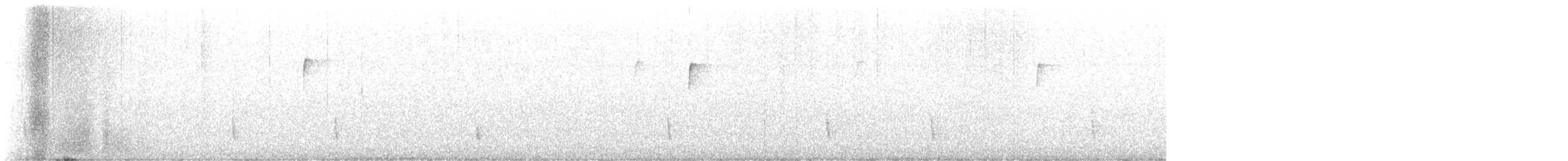 Hermit Thrush - ML645220557