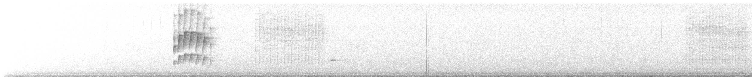 Northern Tropical Pewee - ML645220721