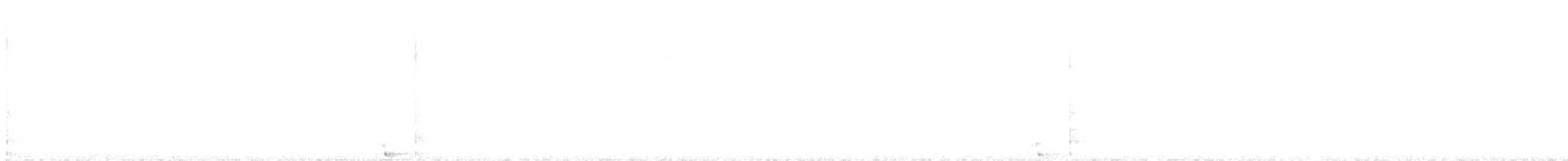 Common Raven - ML645221026