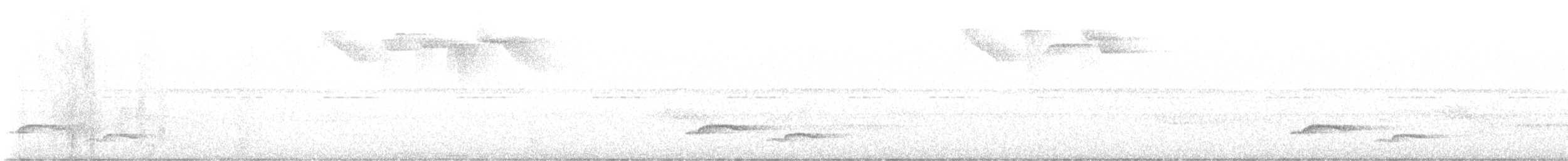 White-breasted Wood-Wren - ML645221935