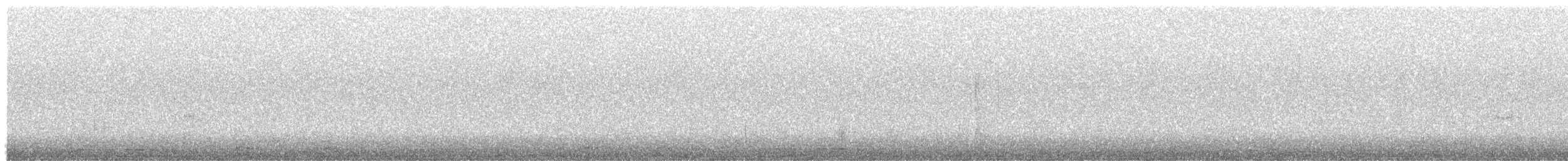 Sandwich Tern - ML645222889