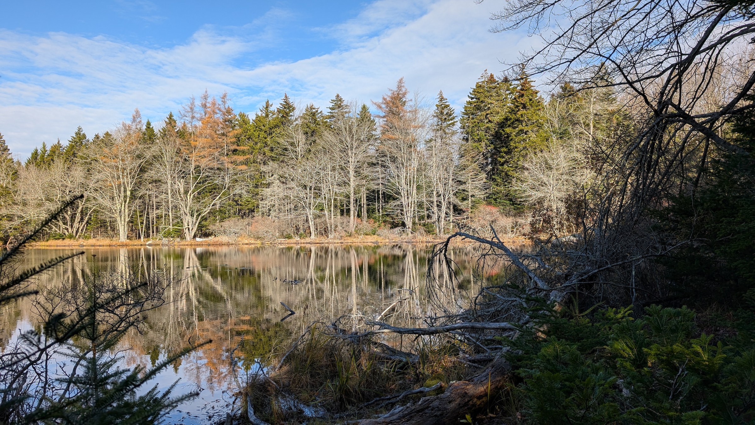Church Land Preserve (IHT) - Hancock, Maine, US - Birding Hotspots