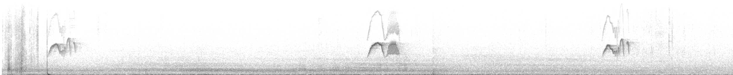 Eastern Phoebe - ML645225277