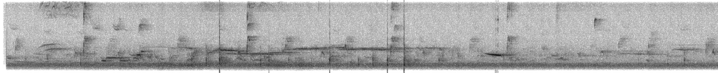 Hermit Thrush - ML645227194