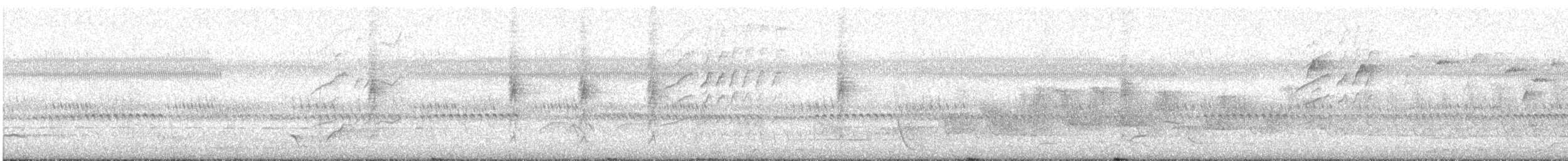 White-eared Monarch - ML645228512