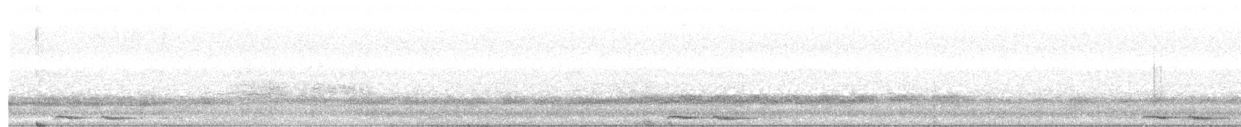 Tasmanian Boobook - ML645231648