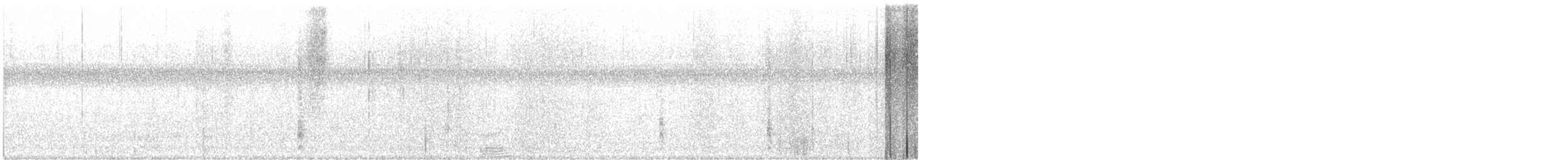 grackle sp. - ML645232067