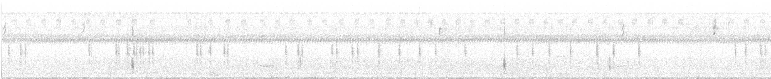 grackle sp. - ML645232074