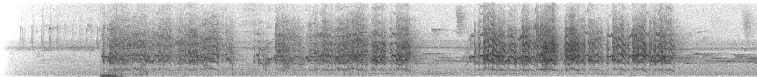 Bronze-winged Parrot - ML645232123