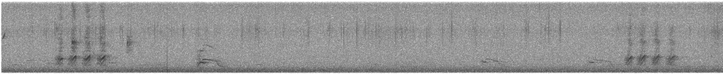 straka americká - ML645232201