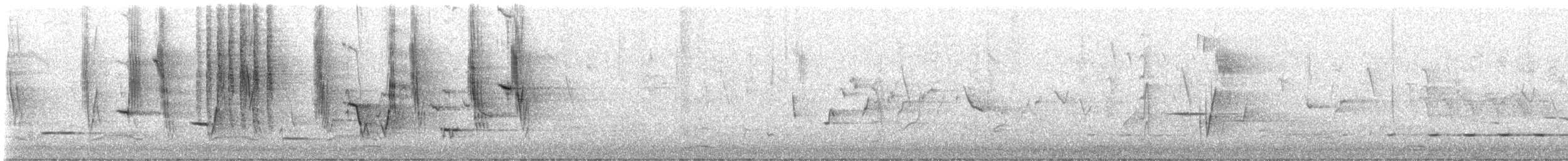 Rufous Songlark - ML645232773