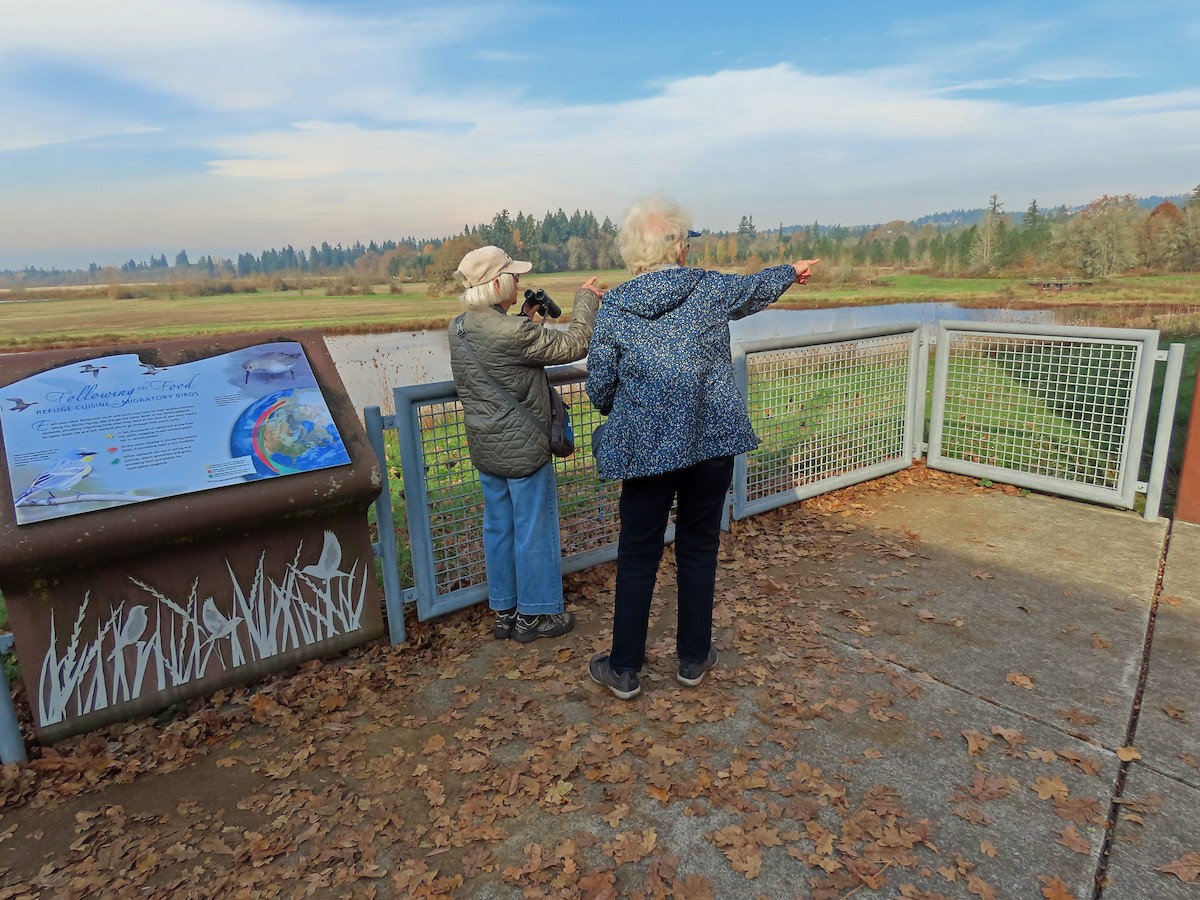 eBird Checklist - 12 Nov 2025 - Tualatin River NWR--Atfálat'i Unit - 26 ...