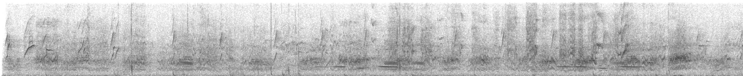 Superb Parrot - ML645233685