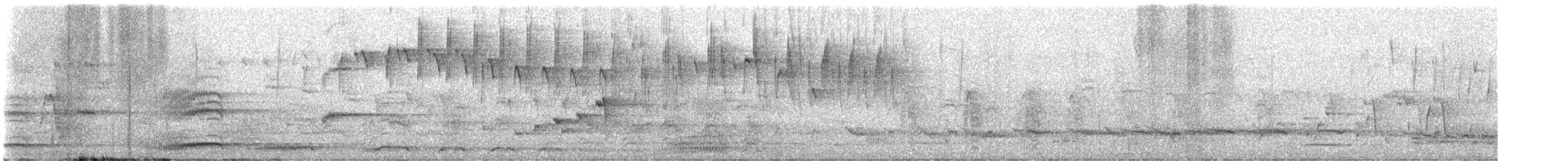 Channel-billed Cuckoo - ML645233852