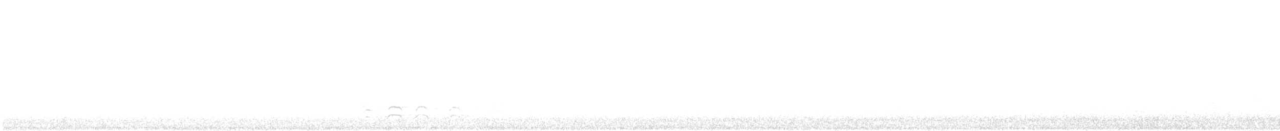 Búho Real - ML645233916