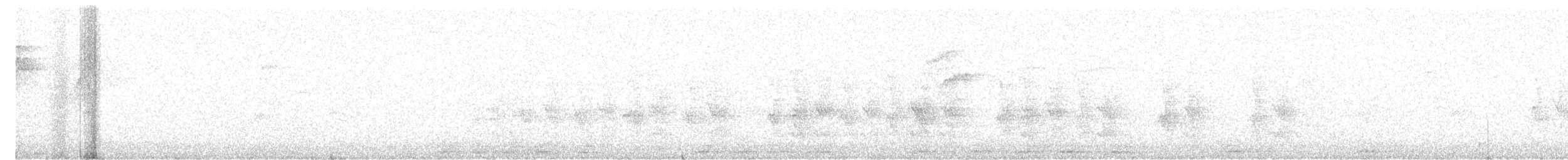 Loro Choclero - ML645234319