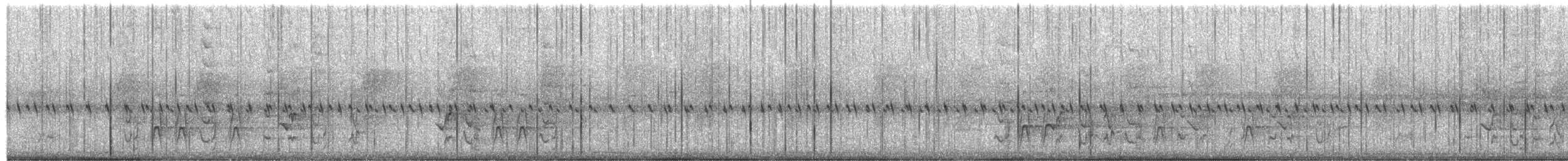 Perico Pálido - ML645234366