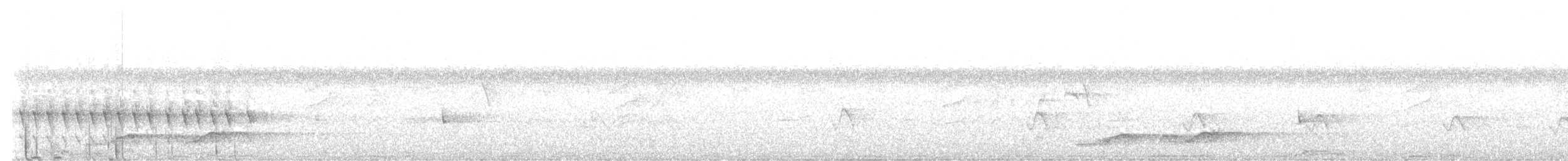 Torillo sp. - ML645234585