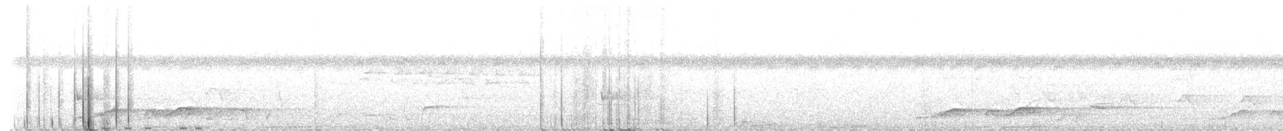 Torillo sp. - ML645234586