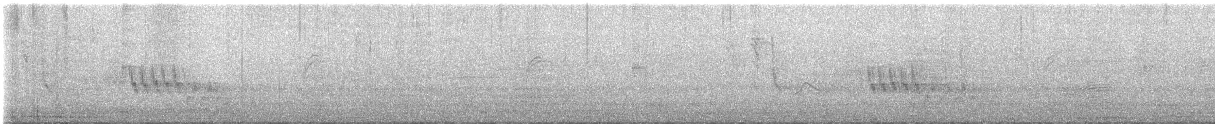 Chochín Criollo Sureño - ML645234762