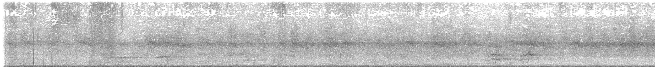 Catita Tirica - ML645234802