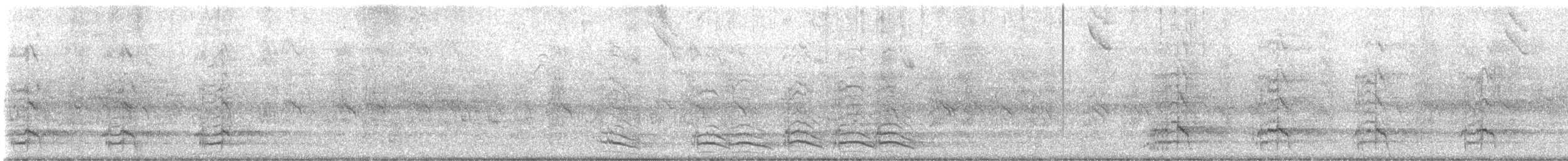 Amazona Frentiazul - ML645234887