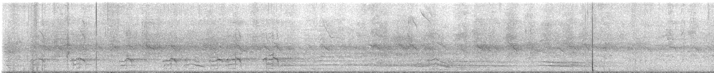 Amazona Frentiazul - ML645234888