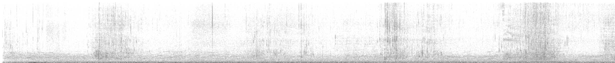 hoholka lední - ML645235072