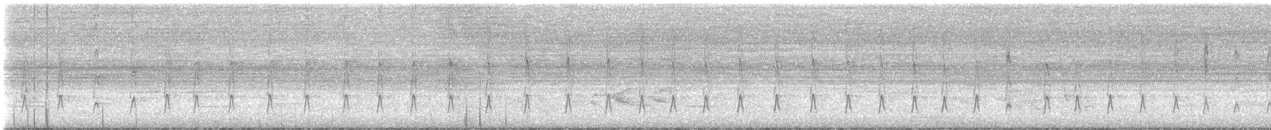 Viudita Enmascarada - ML645235073