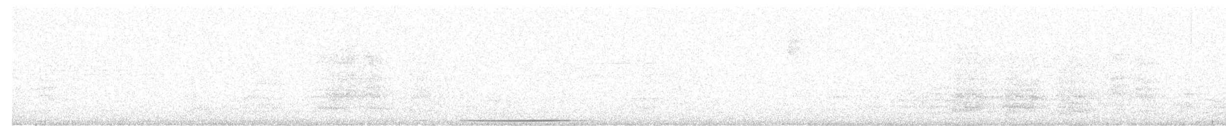 Paloma Montaraz Común - ML645235124